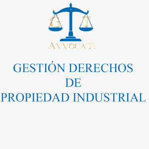 Gestión de derechos de propiedad intelectual e industrial - Imagen 1